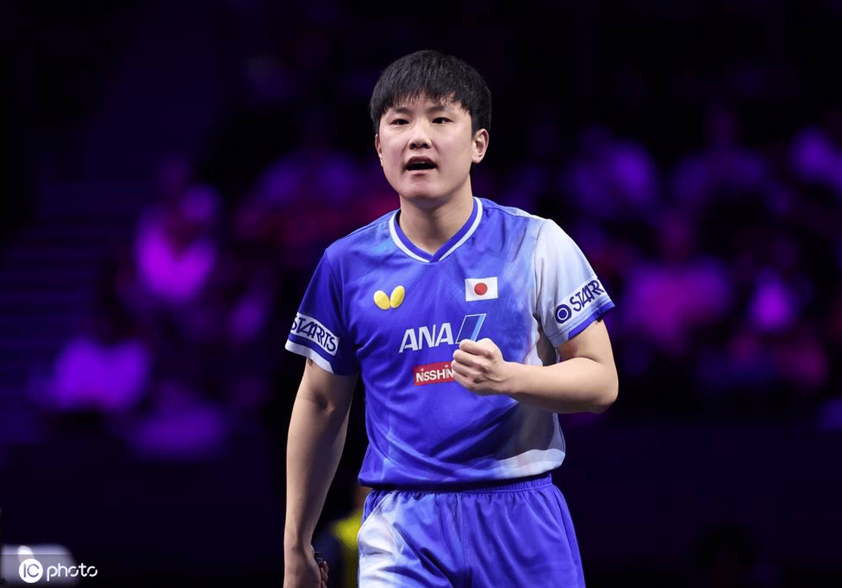 波兰乒乓球队横扫比利时乒乓球队，张本智和绝境逆转的简单介绍