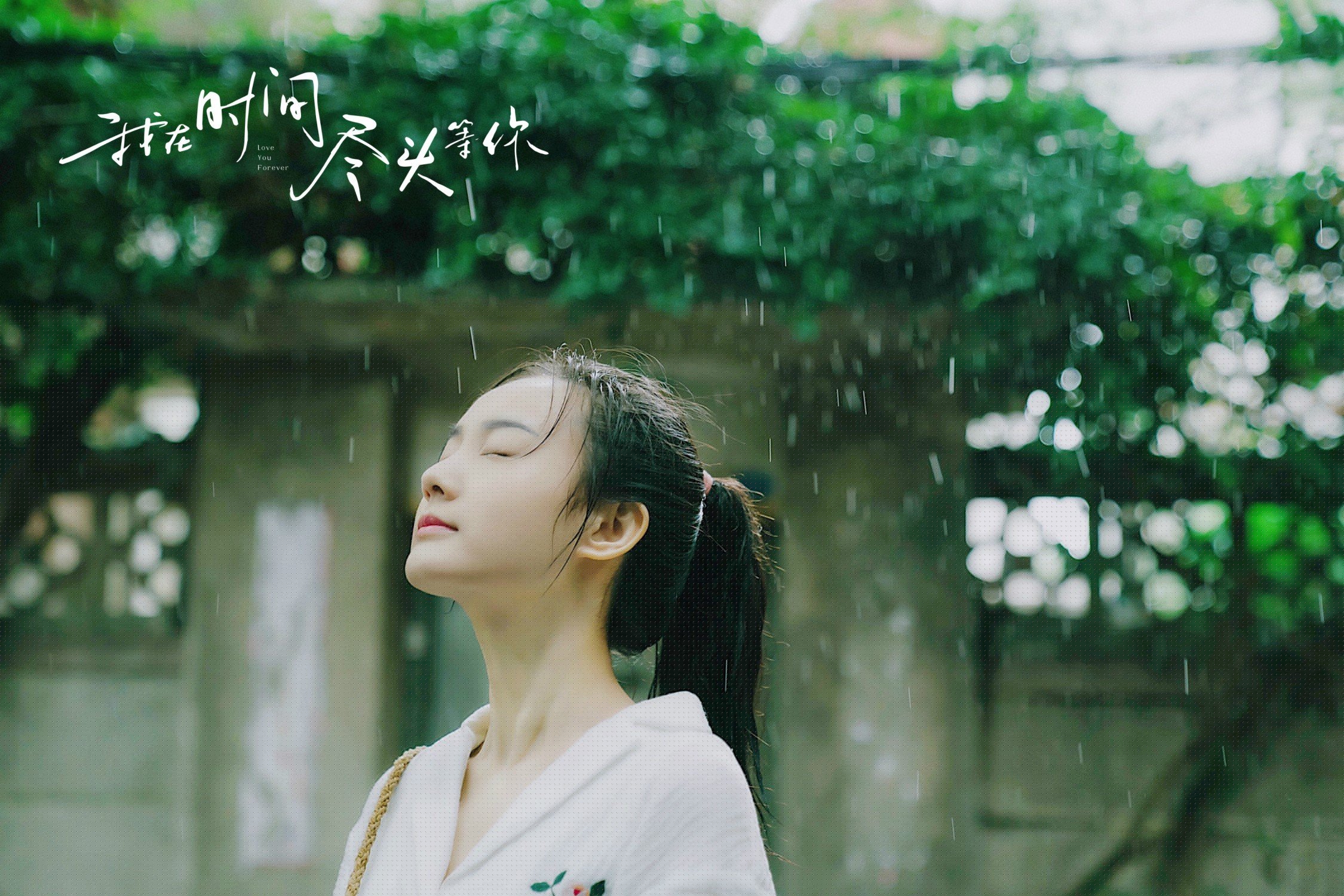 赛道上的叛逆诗歌，威廉姆斯轻取阿斯顿马丁，塞恩斯以一肩扛起整支车队的重量