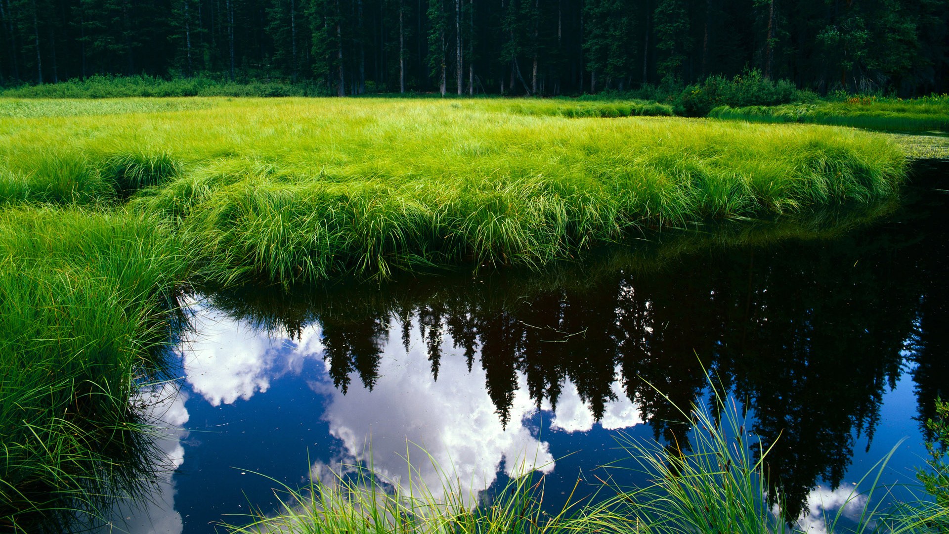 浙江绝境曙光，无名乔治如何一剑封喉掘金？