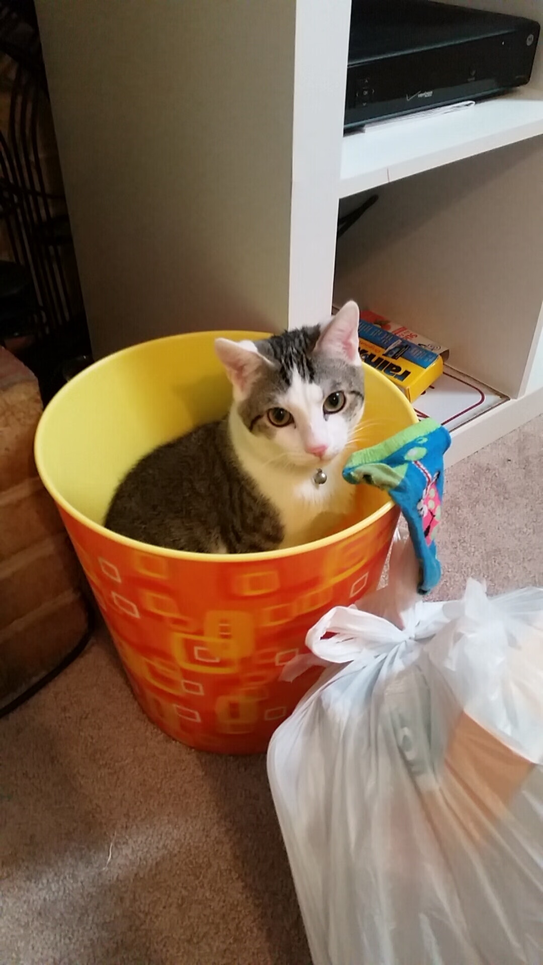 赛道上的篮球奇迹，浓眉F1街道赛接管，助北京队史诗翻盘湖人