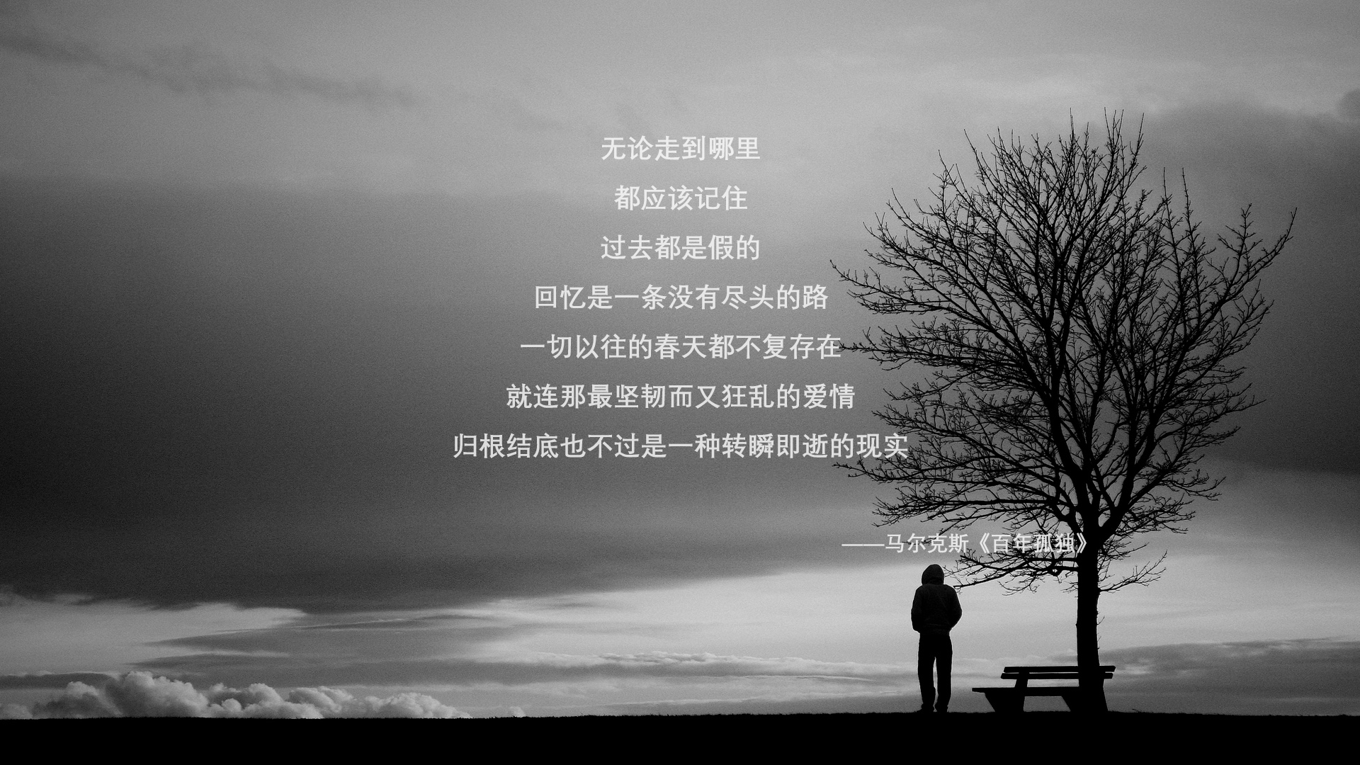 震动体坛,山西队完胜快船,霍勒迪在意甲焦点战接管比赛