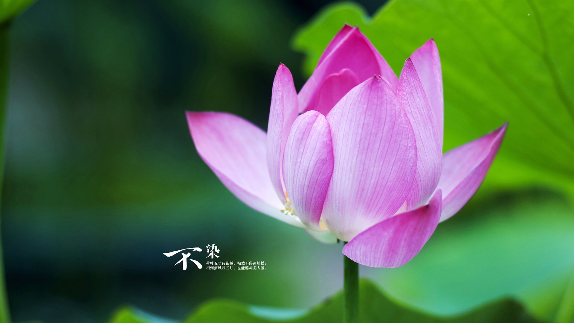 终场哨响与关键接管,论关键时刻的跨界掌控力