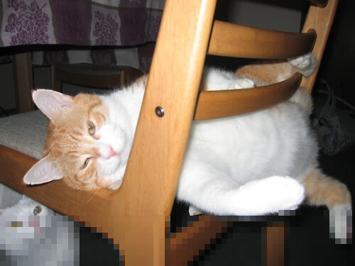 秩序裂变,当富安健洋定义完美,爱尔兰重划欧洲版图