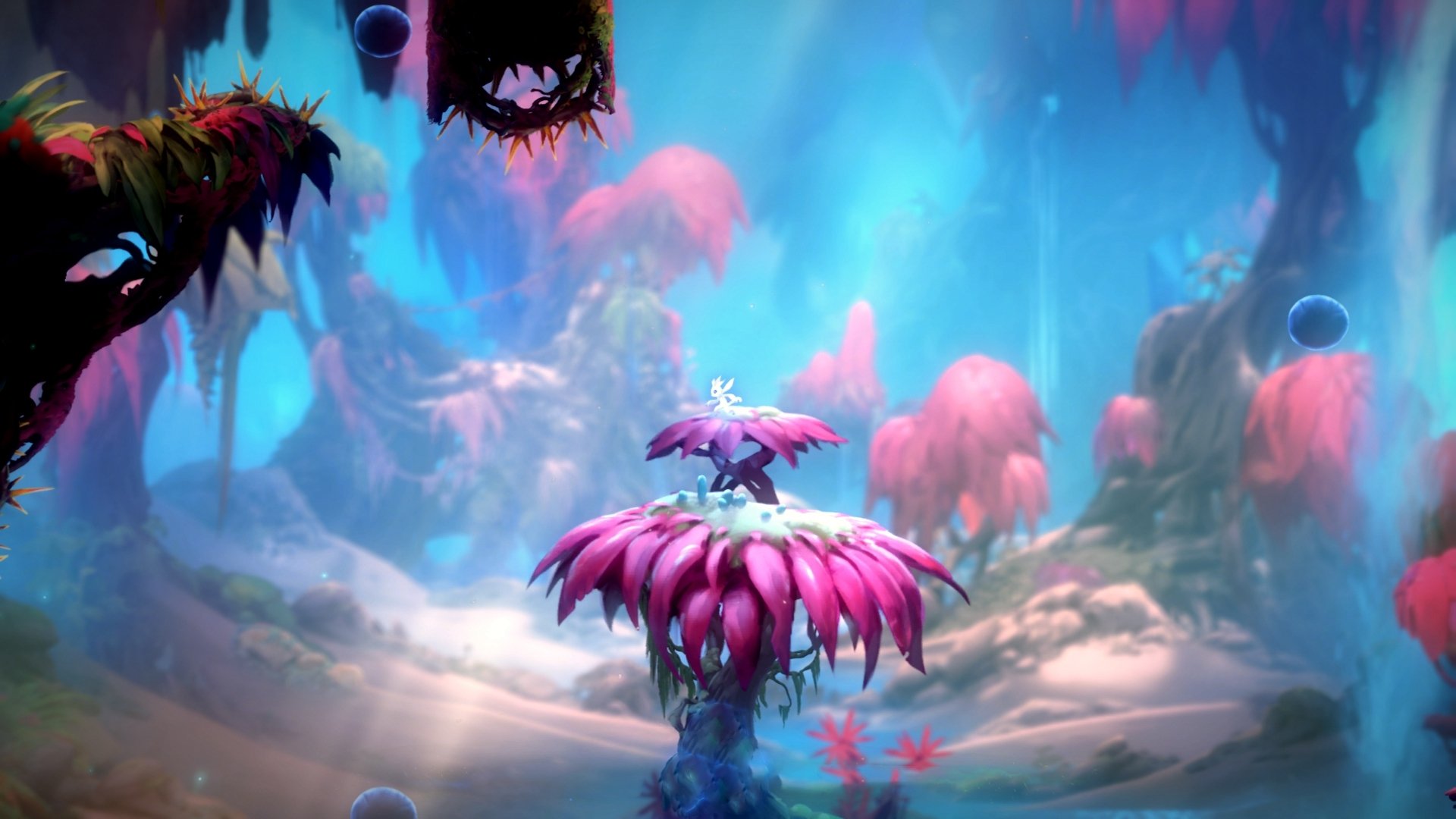 平行宇宙交汇夜,当爱德华兹跨越太平洋引爆深圳,亚特兰大的星光照亮大运中心