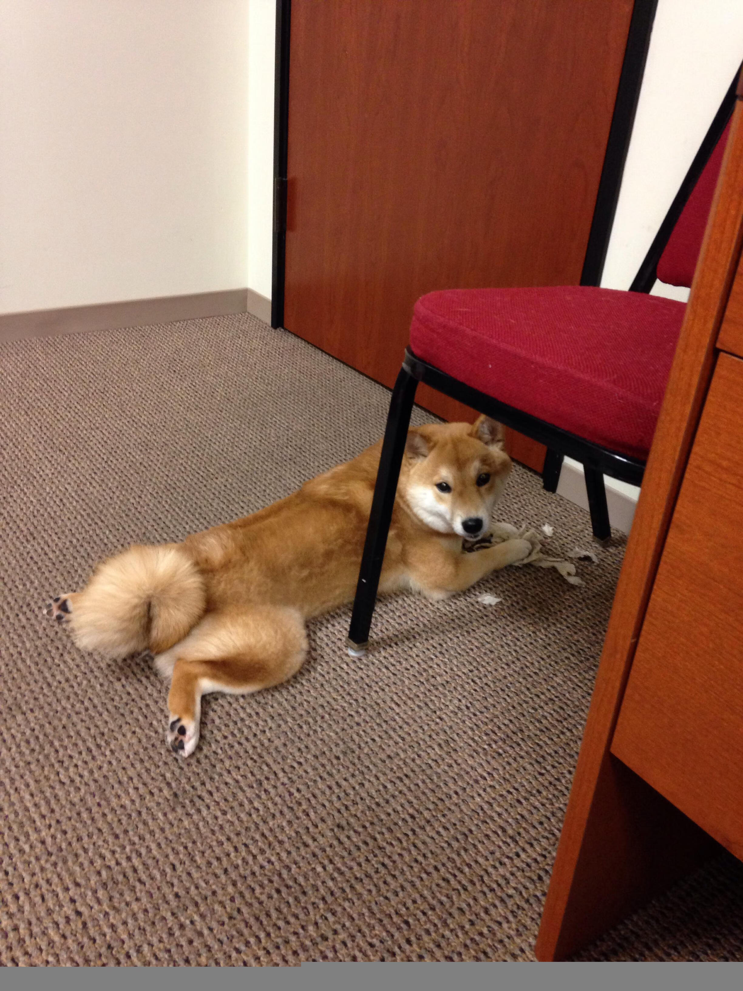 抢七之夜,恩比德与幽灵共舞