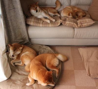 赛博风暴与光学利刃，快船的火力方程式如何拆解广厦铁幕