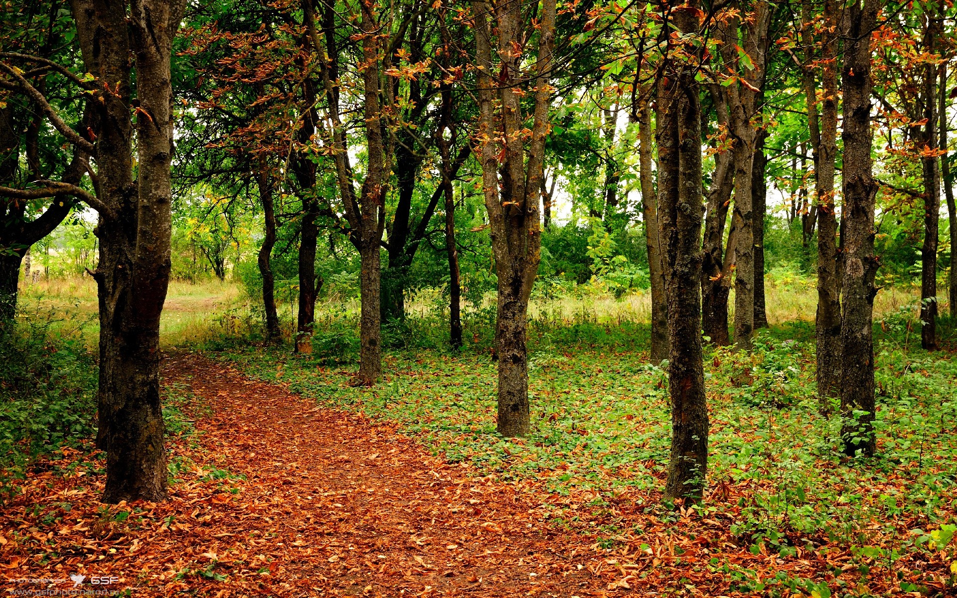 广厦队争冠战，贝恩关键先生力克独行侠，铸就团队传奇