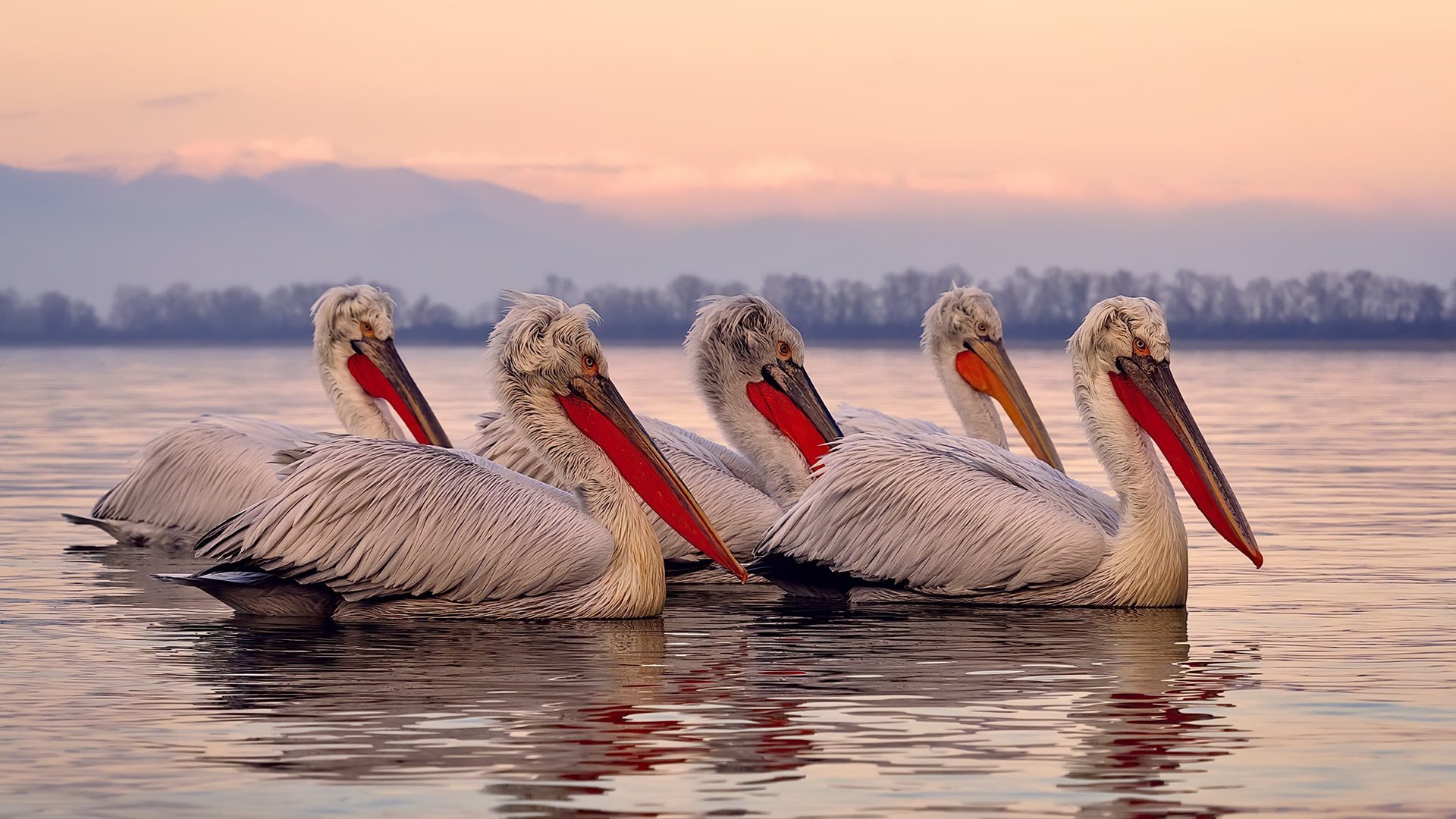 唯一击败格子军团的亚洲人，久保建英如何让皇马悔恨不已