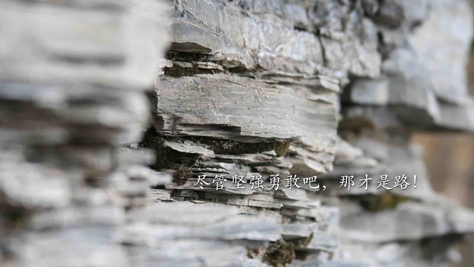 NBA总决赛的跨界启示,毕尔巴鄂的团队哲学如何完胜爱尔兰精神