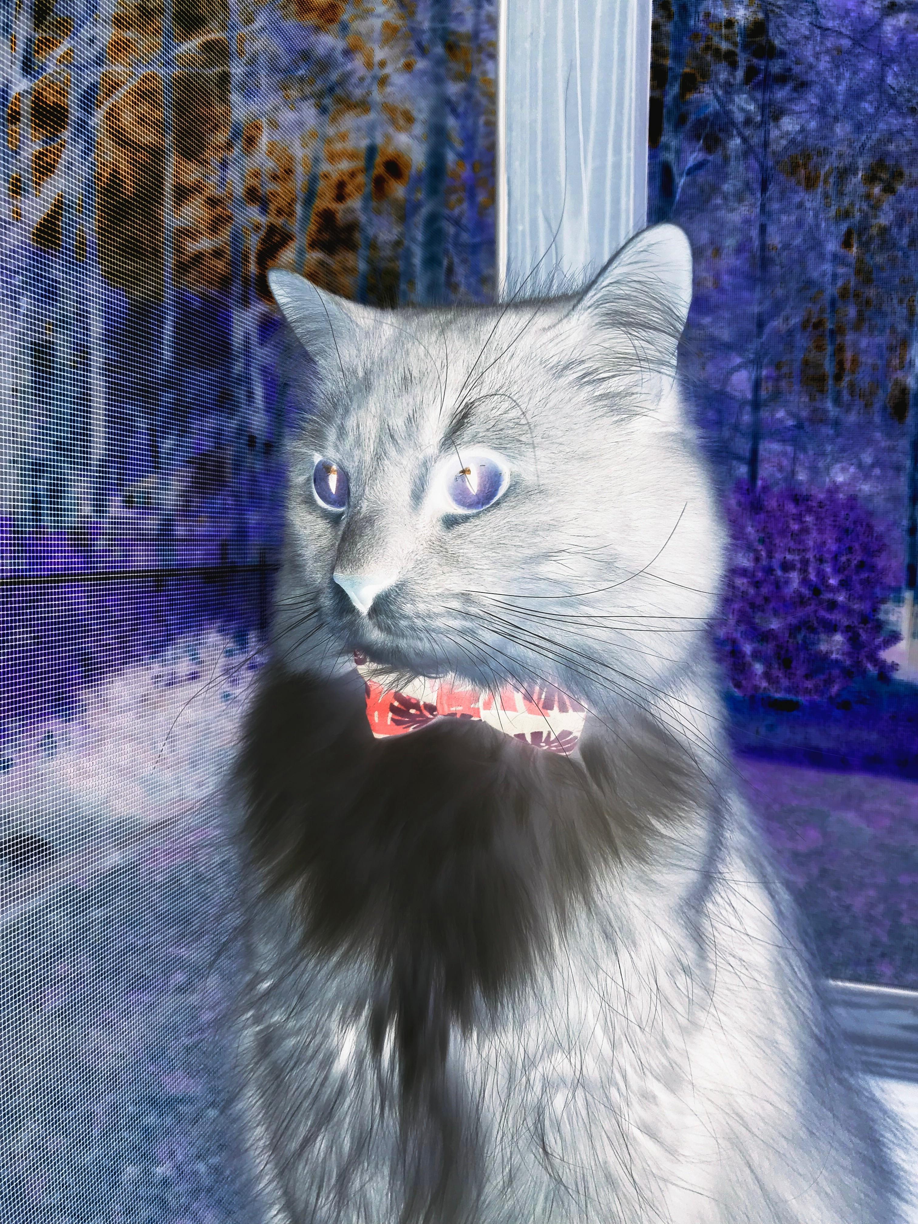 韧性之城对飙天赋之队,文班末节觉醒诠释何为关键先生