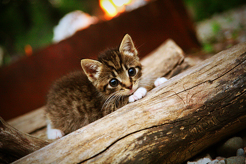 铁壁与尖刀，马刺用连续得分压制活塞，浓眉一锤定音成关键先生