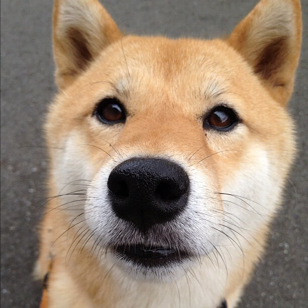 绿茵大脑降临硬木地板，卡塞米罗跨界掌控东决定局之夜