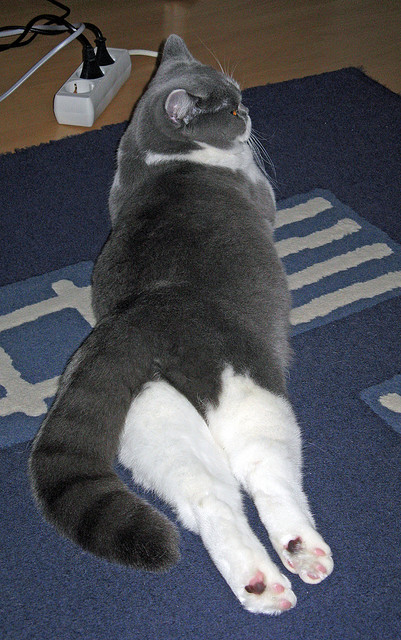 钢铁长城冻结桑巴之舞，金玟哉如何在一场梦幻对决中锁死巴西进攻