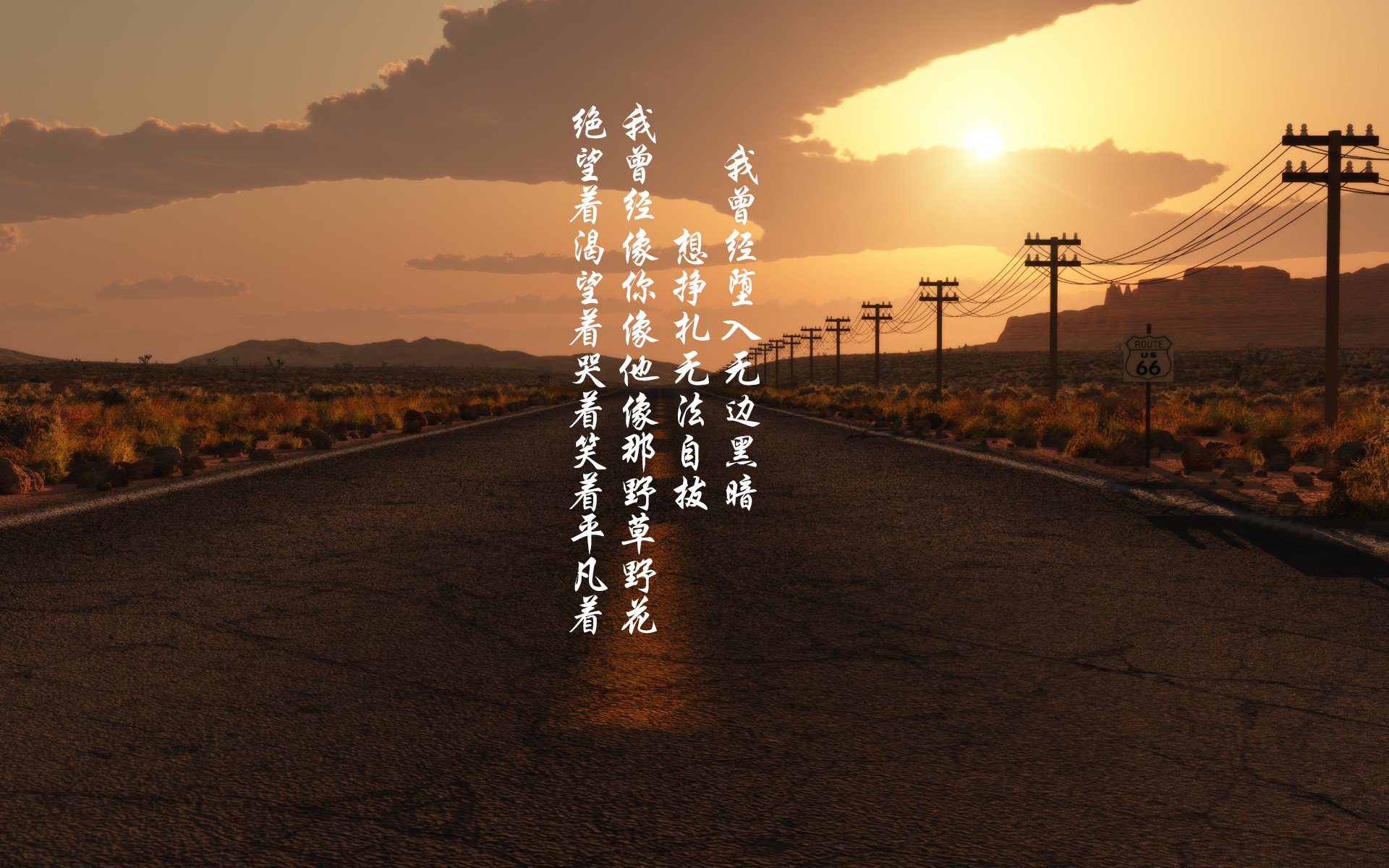 孤星独耀，2026世界杯C组，喀麦隆碾压日本，哈兰德完成致命一击改写足球史诗
