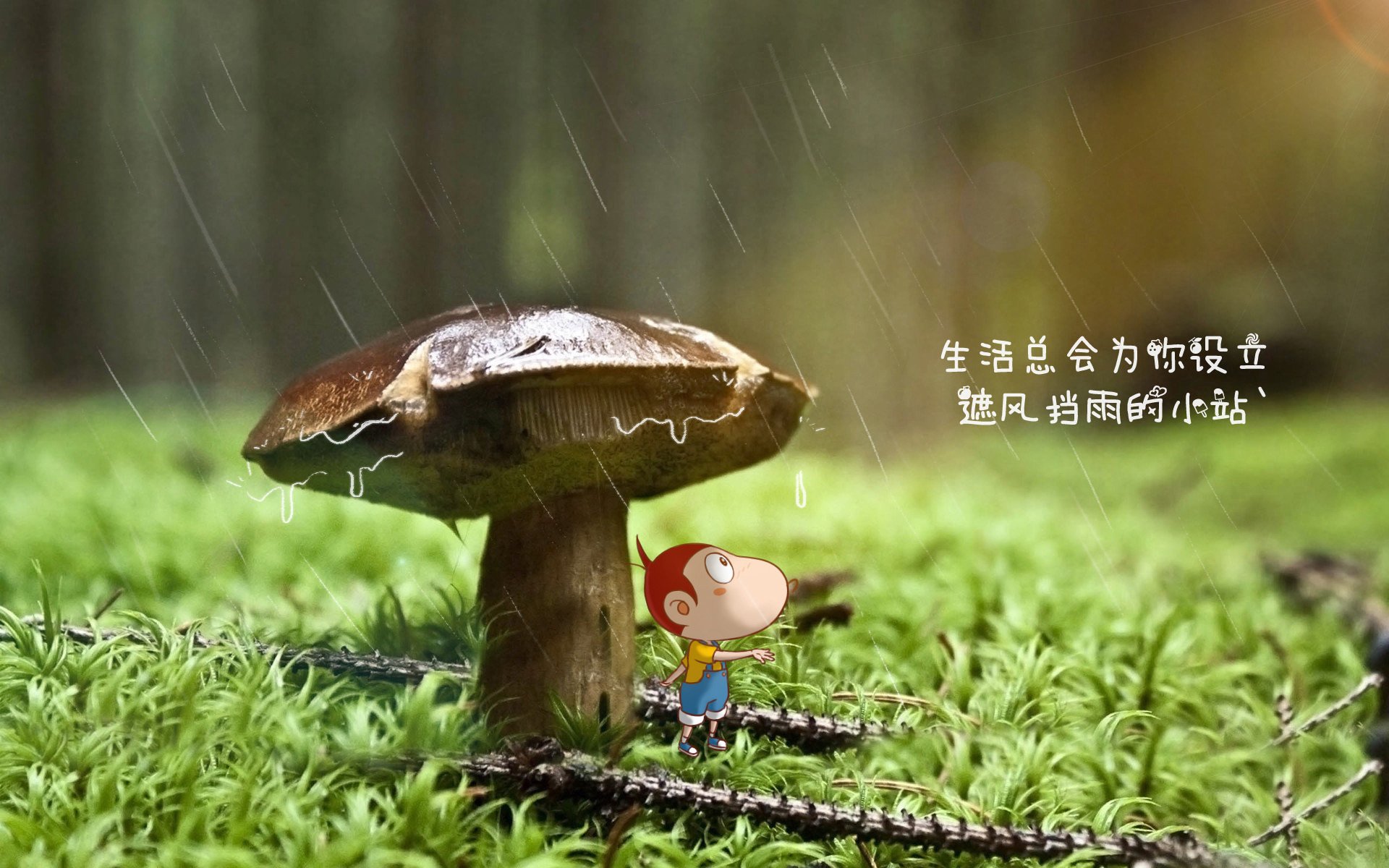 橙衣风暴席卷死亡之组—2026世界杯D组强强对话，荷兰压制罗马尼亚，奥斯梅恩闪耀全场诠释进攻犀利