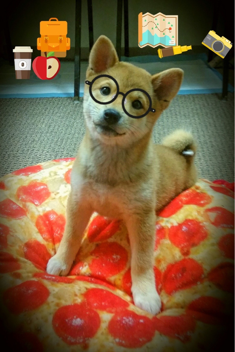 结语