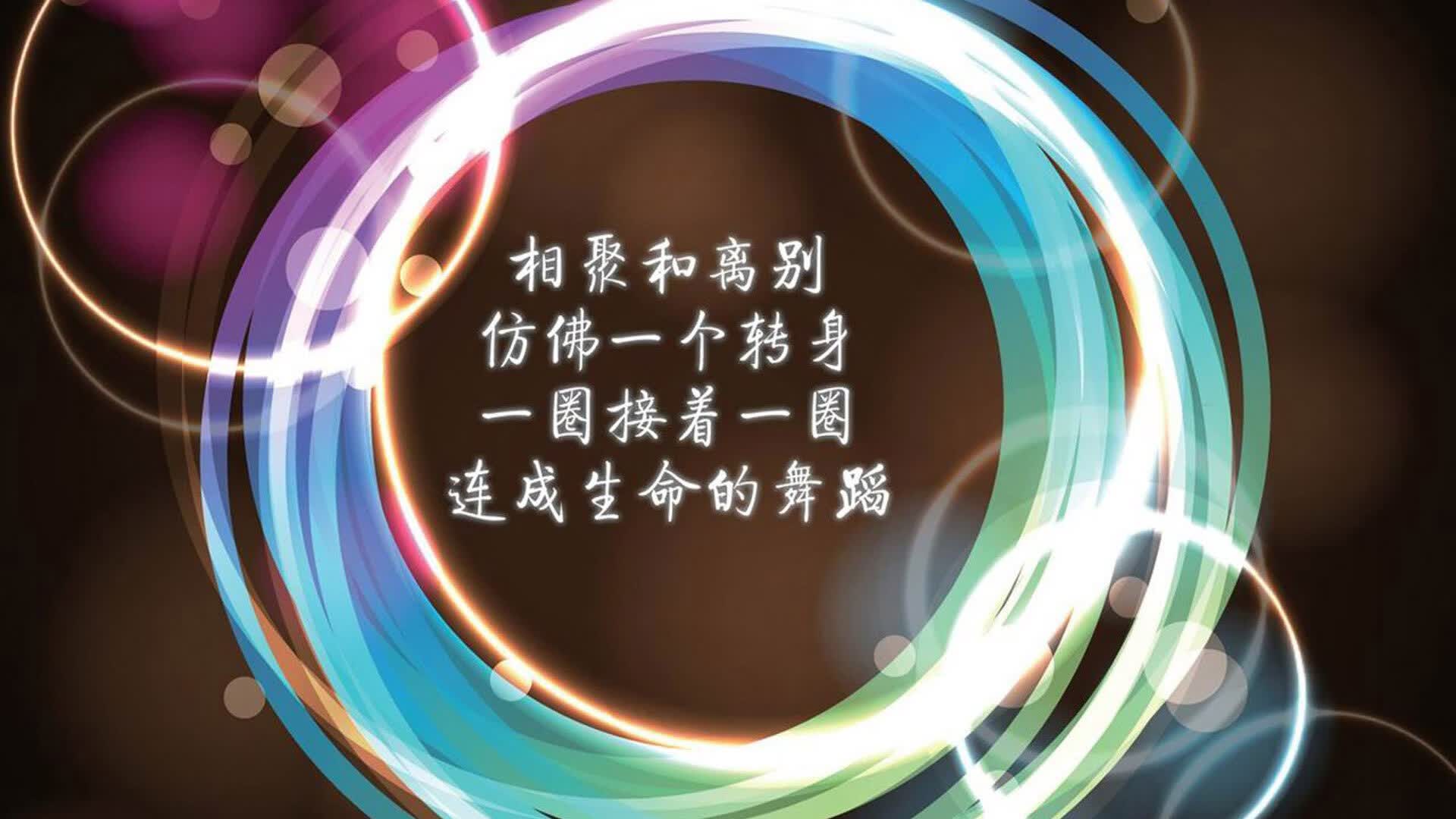 沙漠之鹰与高卢雄鸡的独奏,2026世界杯,唯一一场无法复刻的豪门序曲